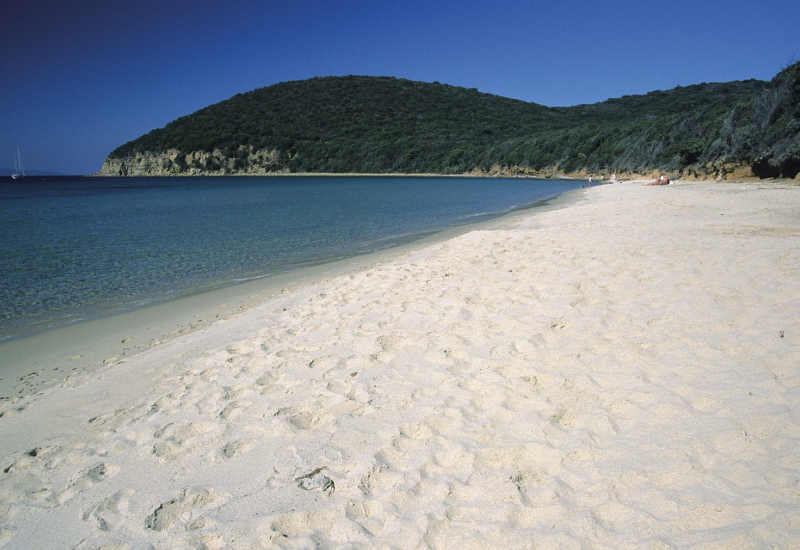 Villa Via Bolgherese -  Cala Violina