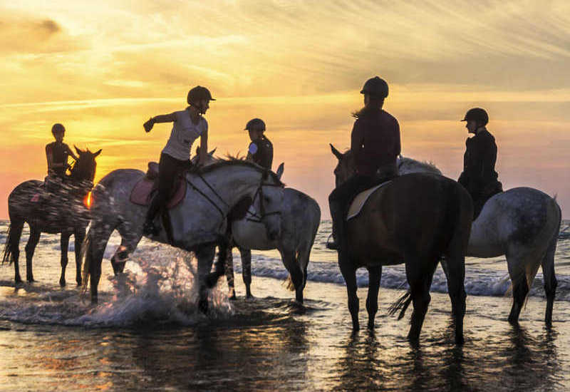 Villa Via Bolgherese -  Sports and activities