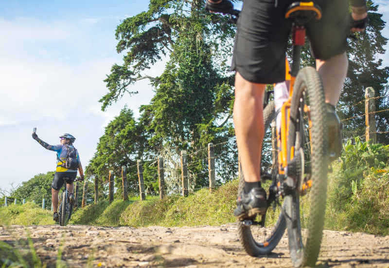 Villa Via Bolgherese - Sports and activities