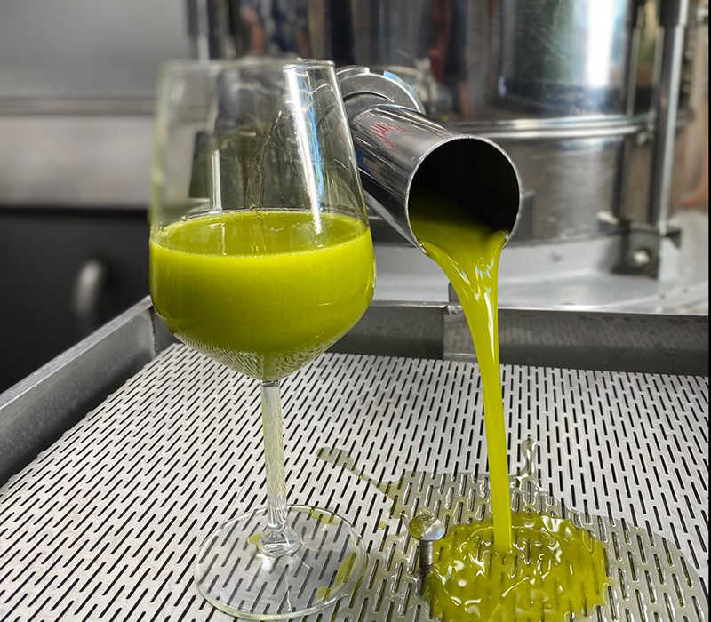 Villa Via Bolgherese - Antico Frantoio Di Segalari