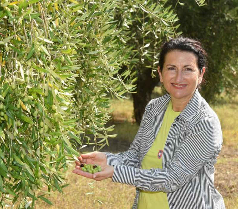 Villa Via Bolgherese - Villa Caprareccia